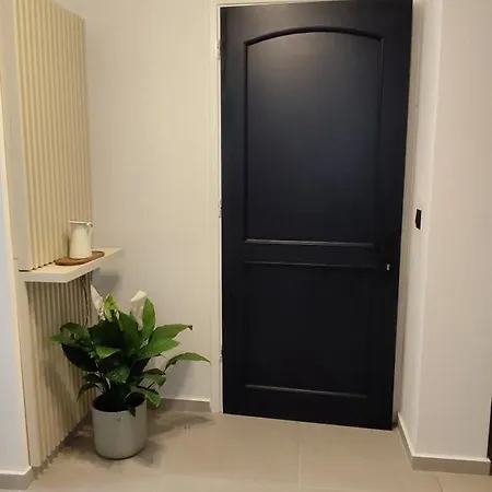 Apartamento Ionian Breeze Luxury Apartments-avithos Argostoli (Kefalonia)